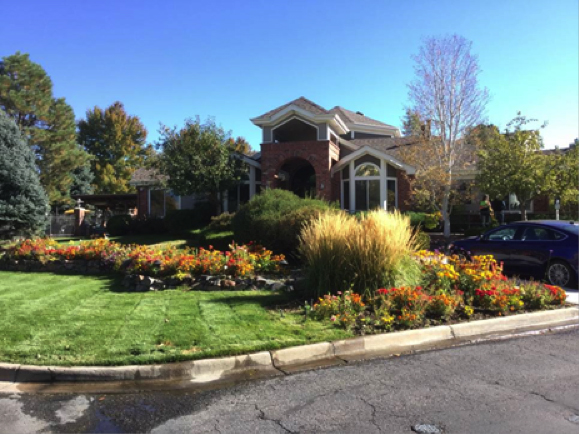 Alister Cherry Creek